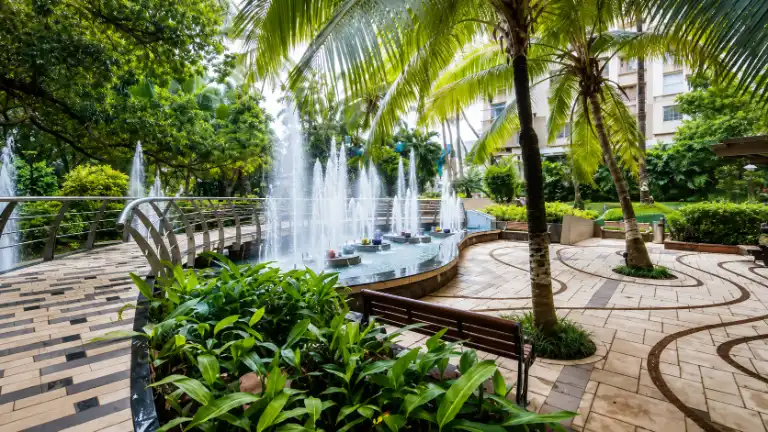 Garden